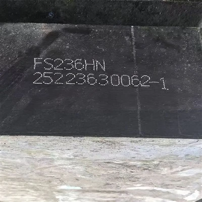 FS139 Steel